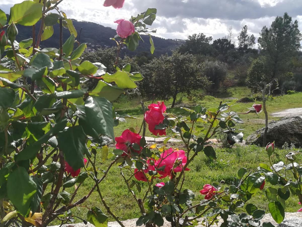 Hotel Eiras Do Dao Penalva do Castelo Zewnętrze zdjęcie
