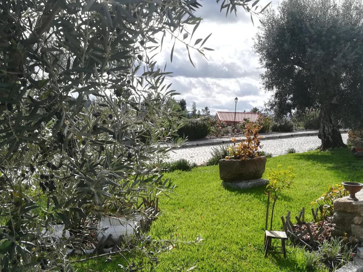 Hotel Eiras Do Dao Penalva do Castelo Zewnętrze zdjęcie