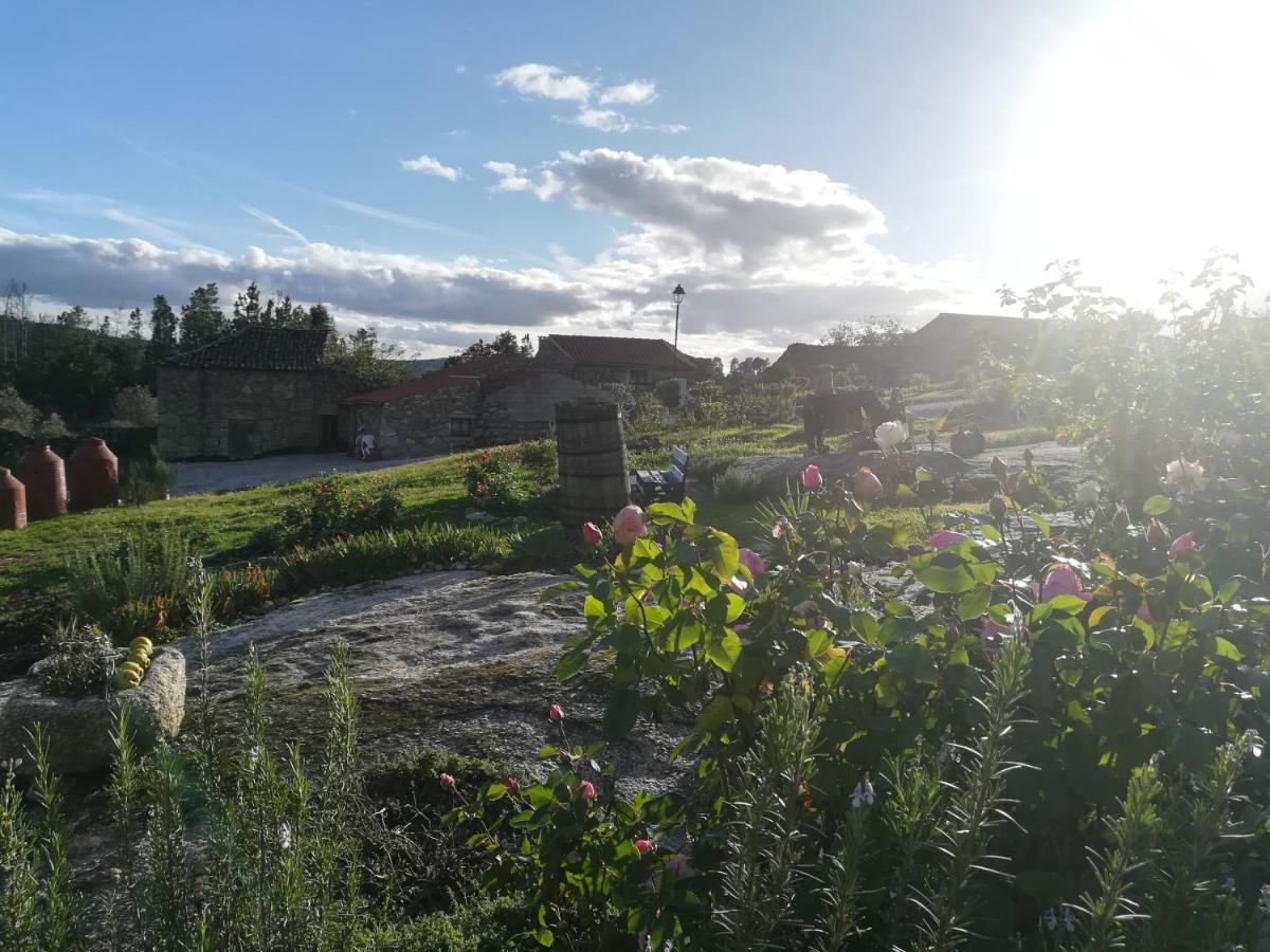 Hotel Eiras Do Dao Penalva do Castelo Zewnętrze zdjęcie