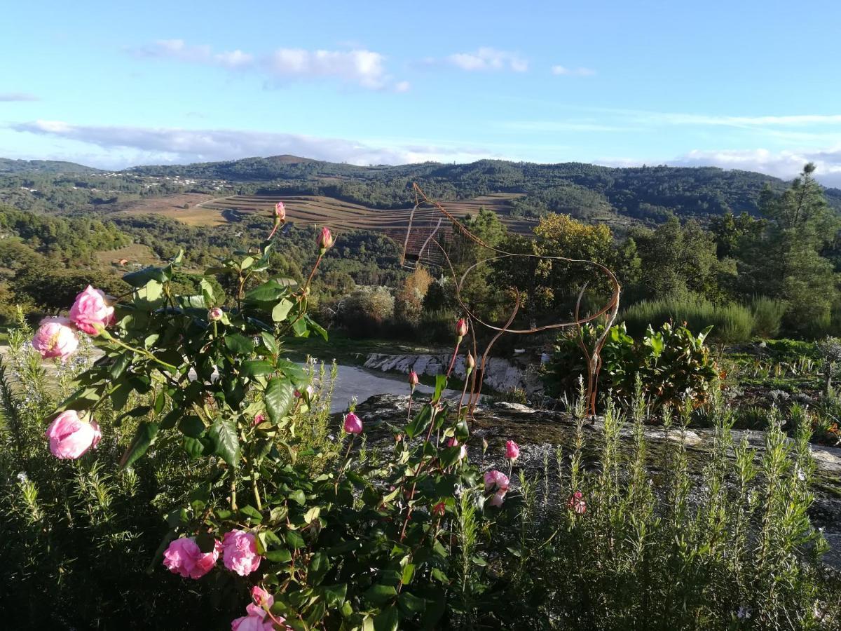 Hotel Eiras Do Dao Penalva do Castelo Zewnętrze zdjęcie