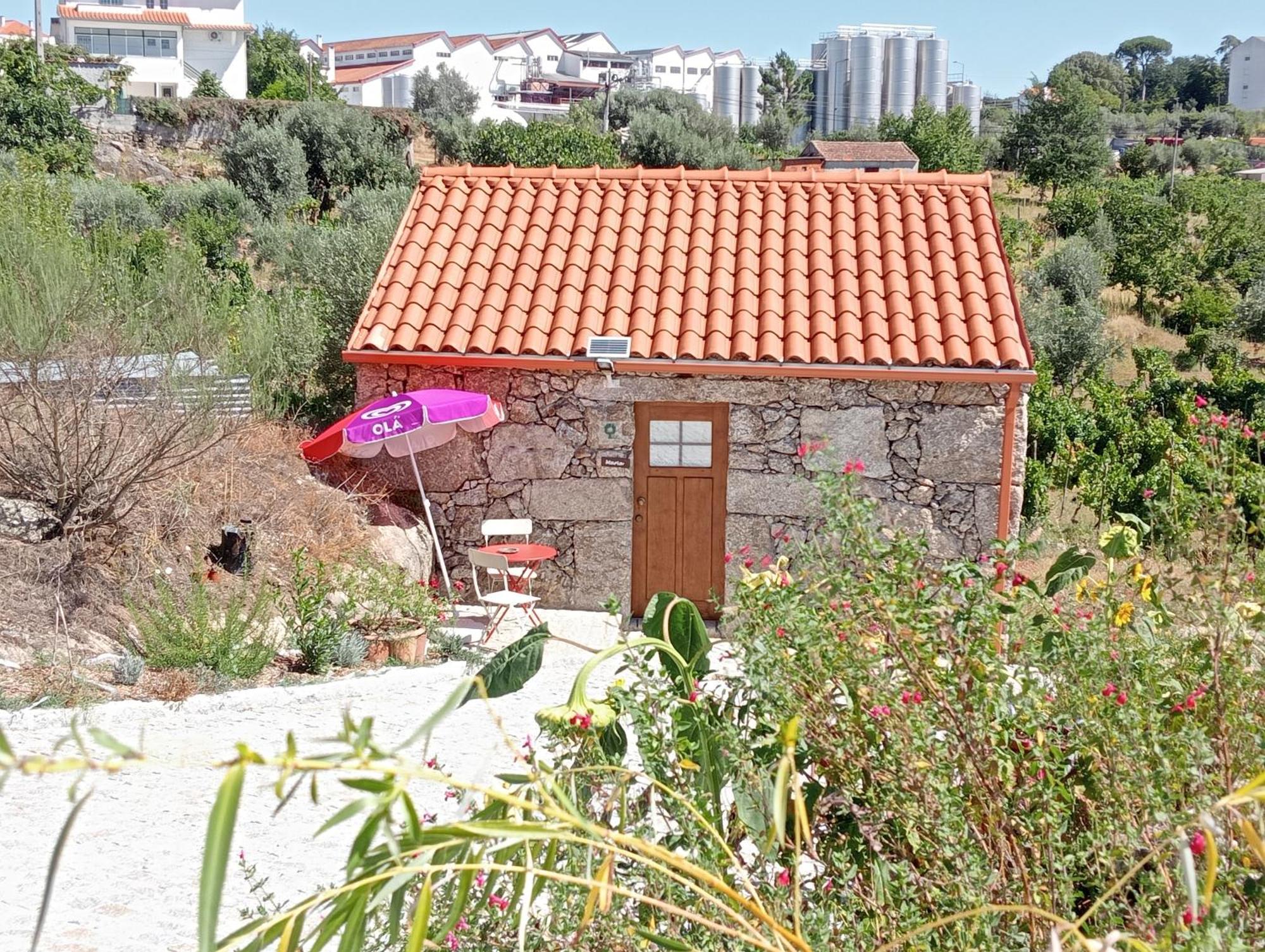 Hotel Eiras Do Dao Penalva do Castelo Zewnętrze zdjęcie